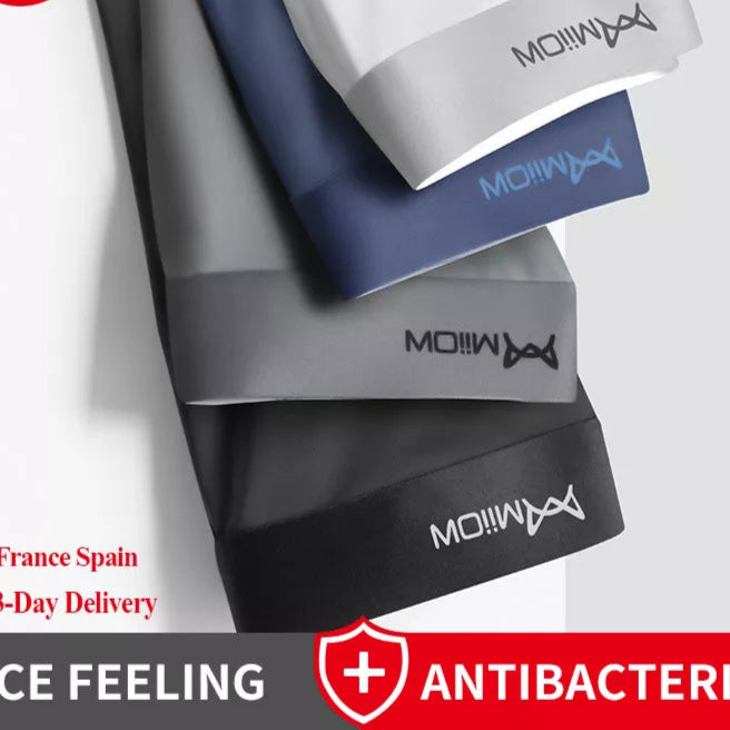 47964205318467|47964205351235|47964205384003|47964205416771|47964205449539|47964205482307