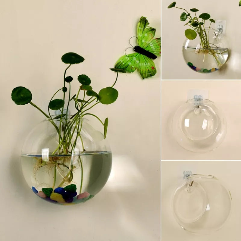 Vase en verre suspendu au mur, Terrarium hydroponique