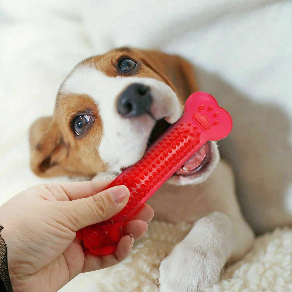 Jouet à Mâcher pour Chiens en Caoutchouc