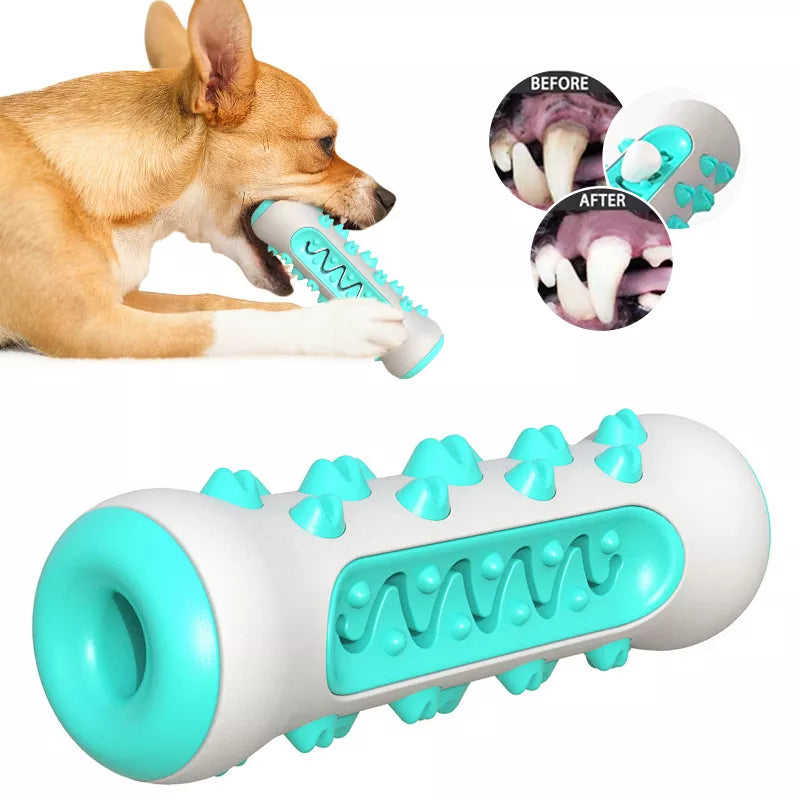 Jouets en caoutchouc pour chien- Soins dentaires