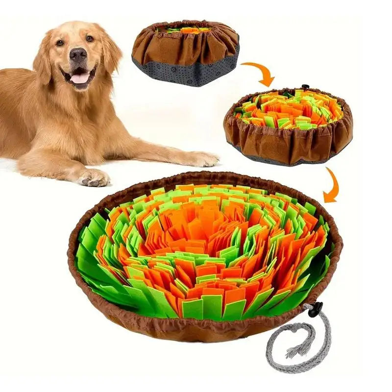 Dog Sniffing Play Mat