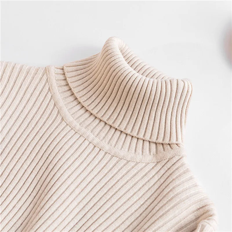 Pull pour Femme Tricoté à Col Roulé