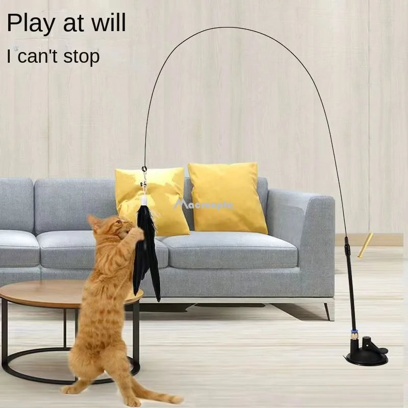 Bâton interactif pour chat