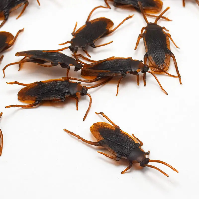 Insectes en Plastique pour Farces et Décorations Halloween