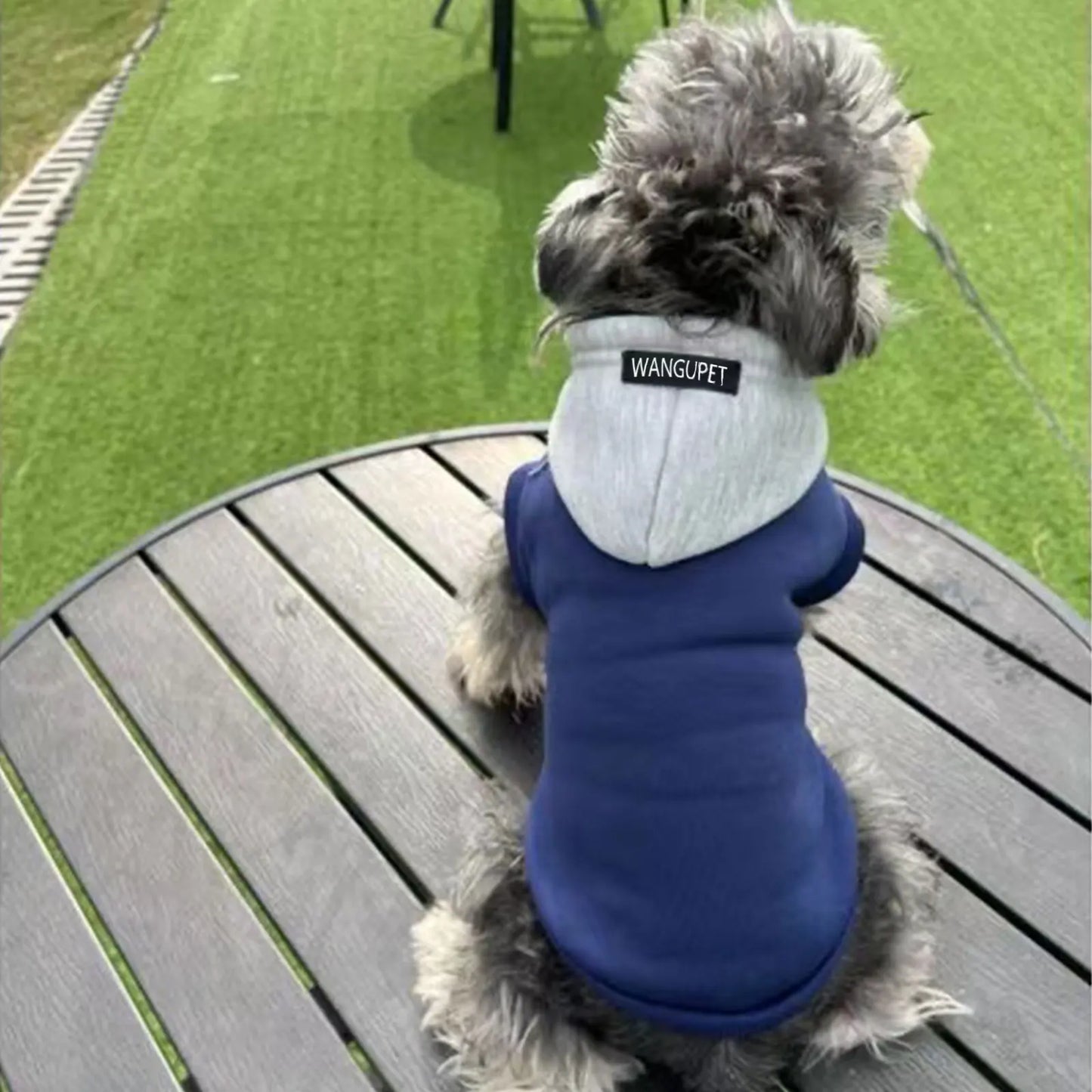 Sweat à Capuche Hiver pour Chiens et Chats