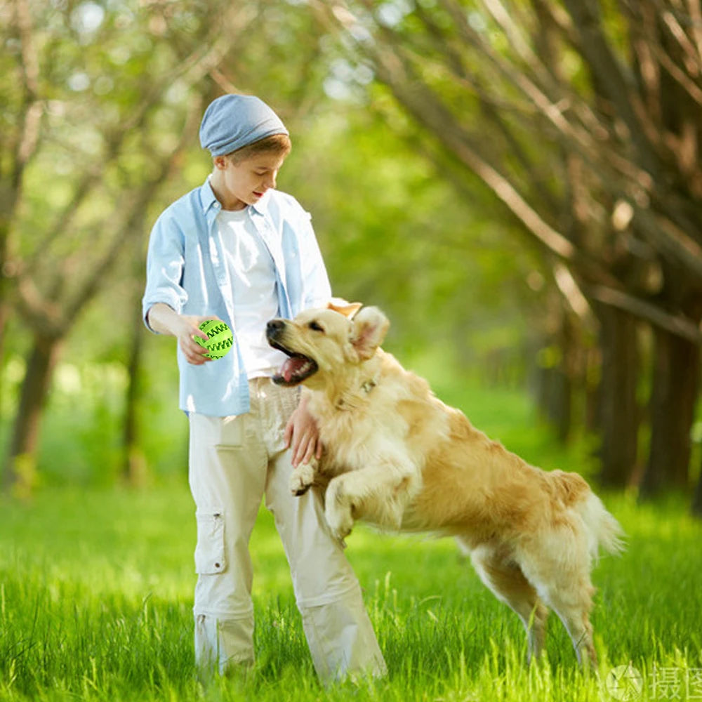 Pet Dog Toy