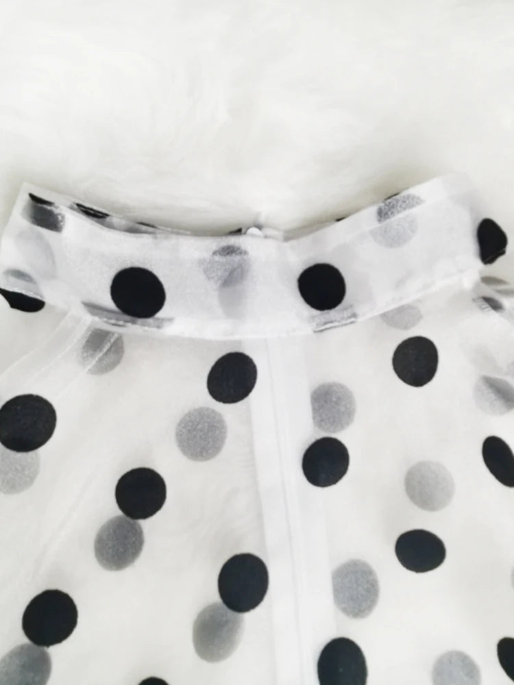 Sheer polka dot blouse