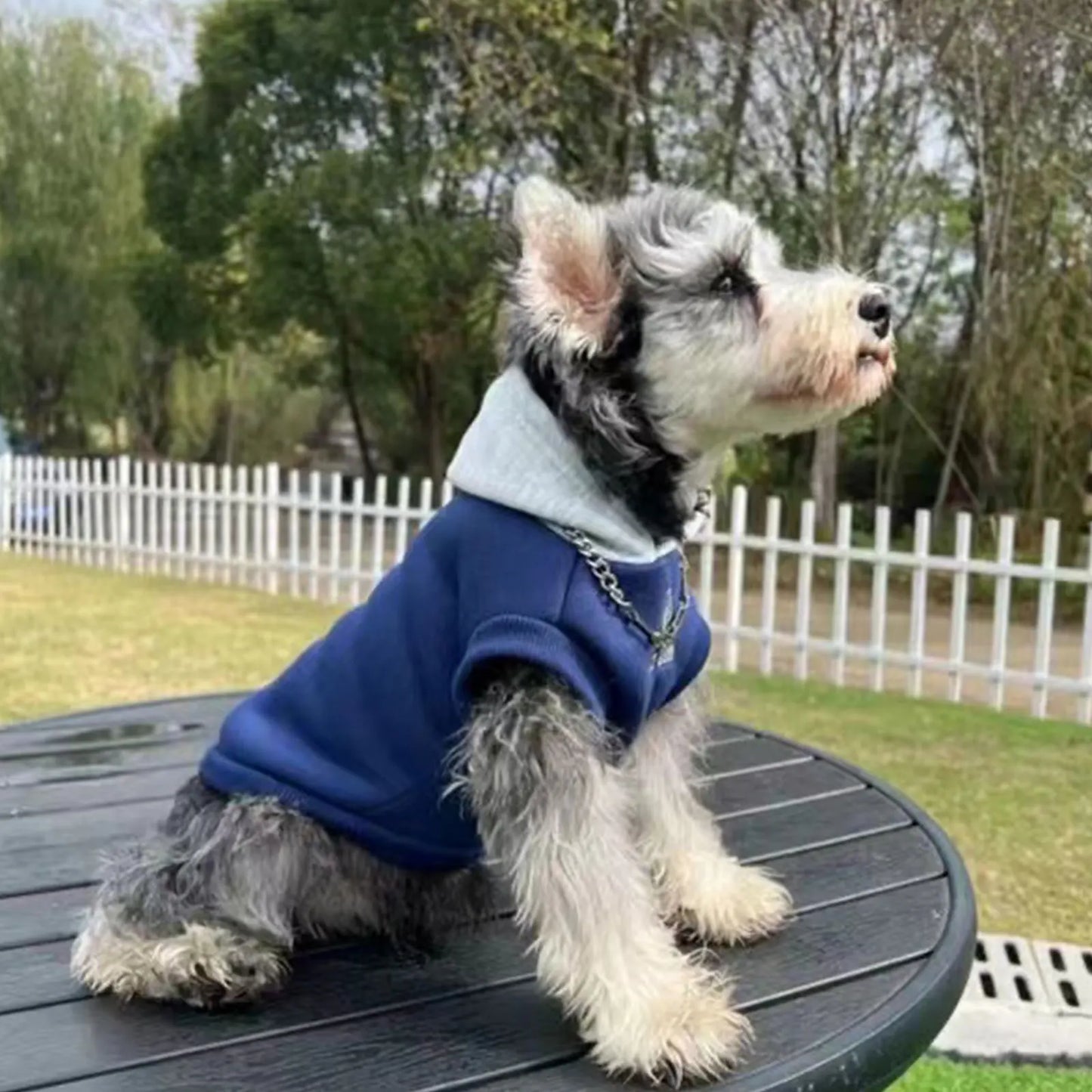 Sweat à Capuche Hiver pour Chiens et Chats