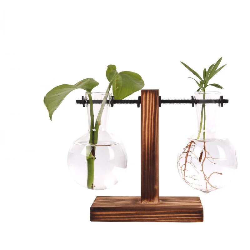 Une Touche de Nature : Vase Terrarium Hydroponique pour Décoration Bureau