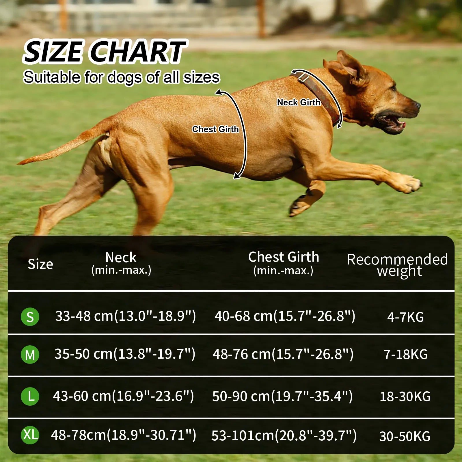 Harnais  réglable pour chien