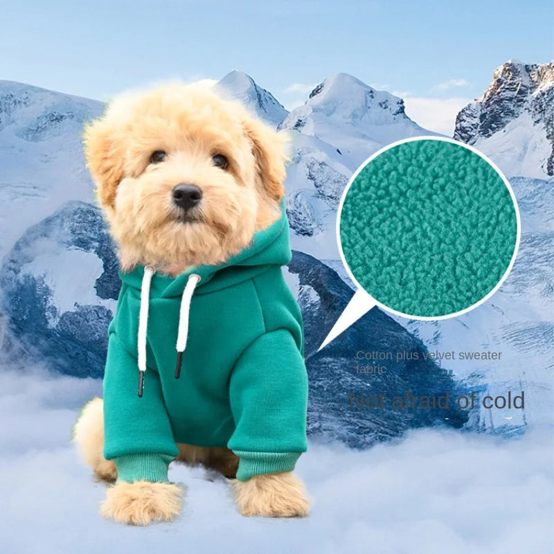 Sweats à Capuche Chauds pour Chiens