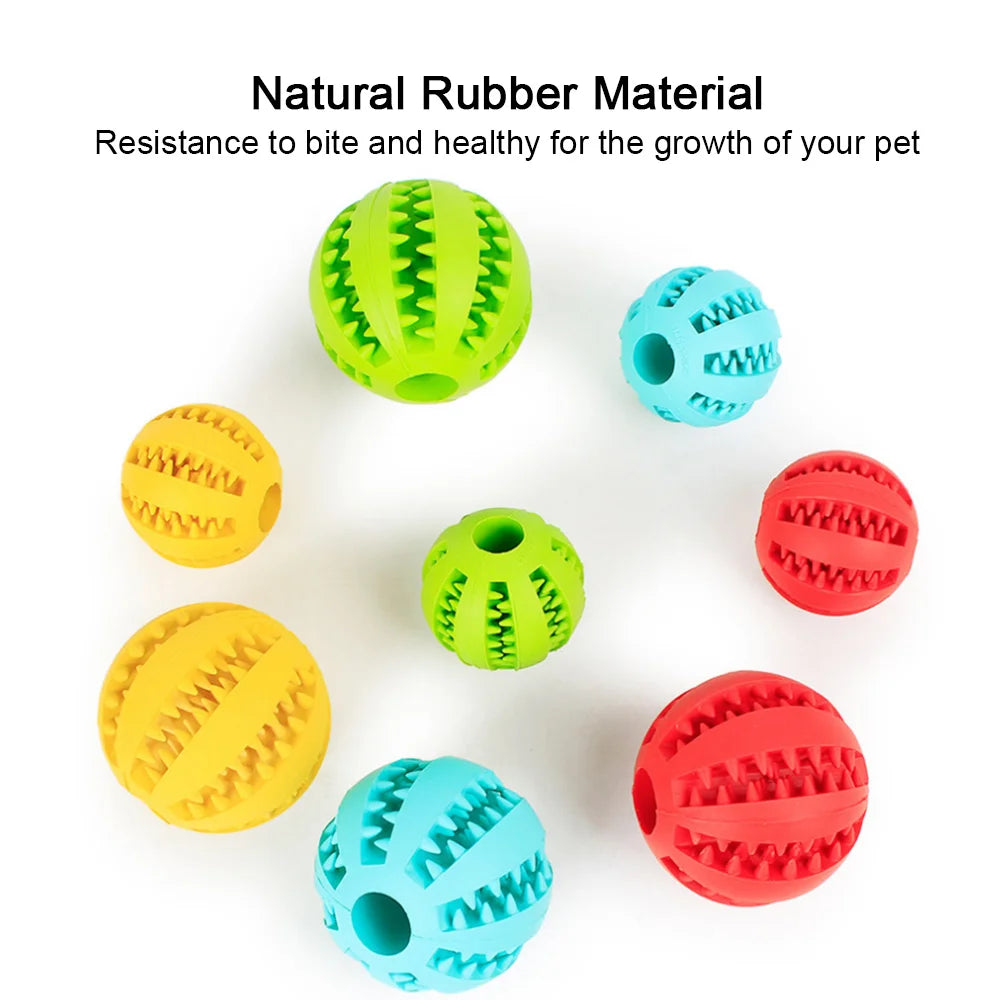 Pet Dog Toy