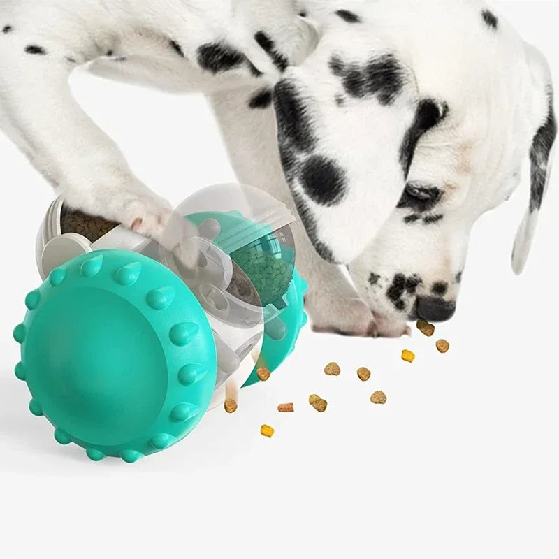 Distributeur interactif de friandises pour chien