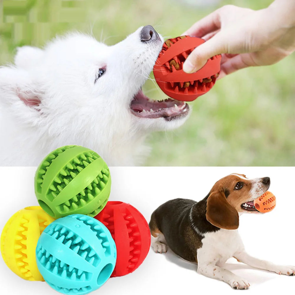 Pet Dog Toy