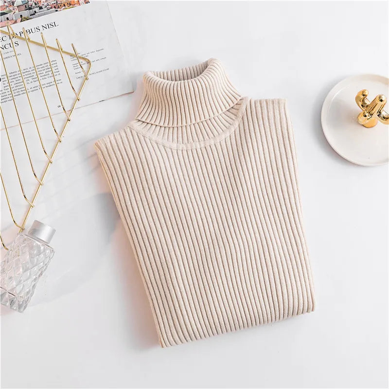 Pull pour Femme Tricoté à Col Roulé