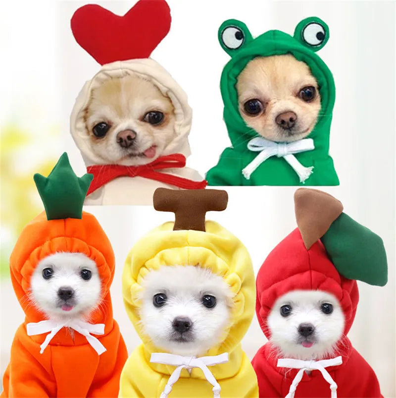 Vêtements Mignons Fruités pour Chiens et Chats