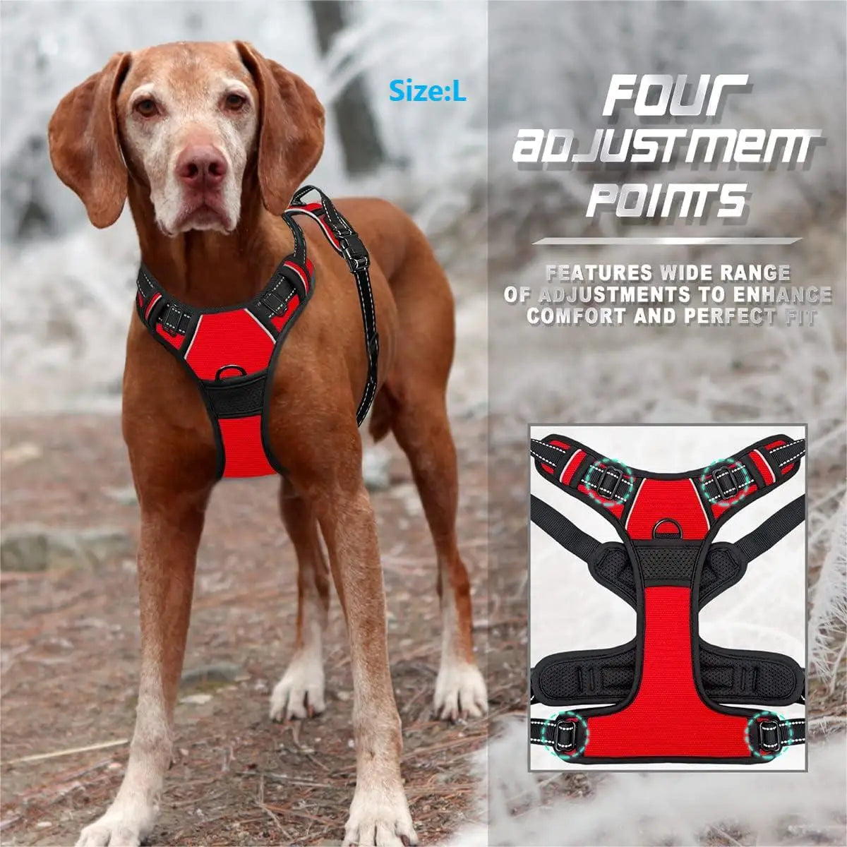 Harnais Anti-Traction pour Chien