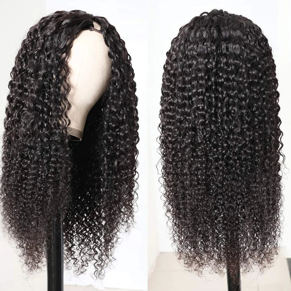 Brazilian curly human hair wig